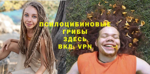 шишки Лихославль