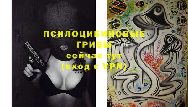 шишки Лихославль