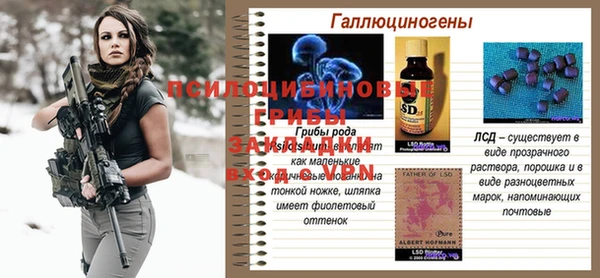a pvp Абинск