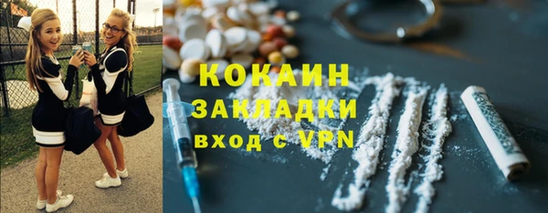 шишки Лихославль